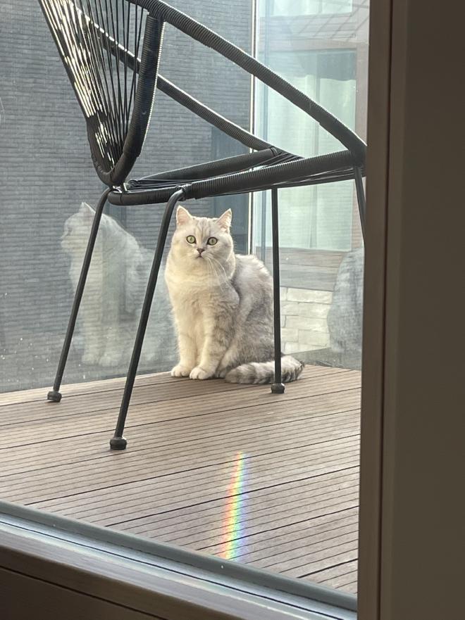 Busya is on the balcony